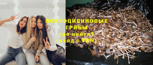 гашик Волосово