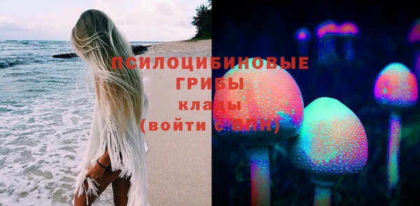 марки nbome Вяземский