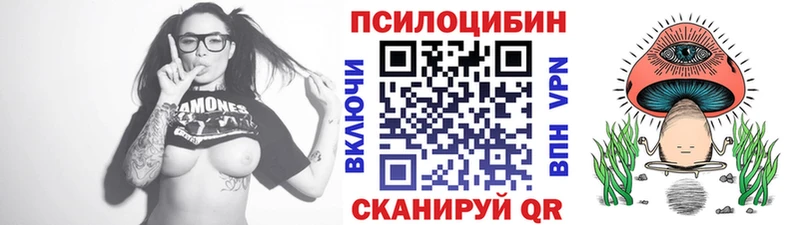 Псилоцибиновые грибы прущие грибы  Камень-на-Оби 